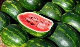 爆料吃瓜产品,吃瓜产品背后的秘密大曝光！