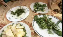 爆料吃瓜酒店,吃瓜群众齐聚的神秘酒店幕后故事