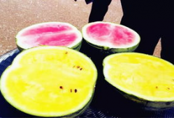 吃瓜爆料中心,吃瓜爆料中心独家揭秘明星幕后故事