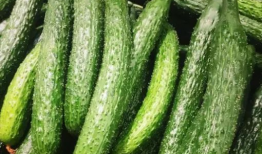 911吃瓜爆料有毒吗,真相与风险并存