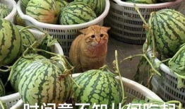 乙游吃瓜爆料,揭秘娱乐圈背后的惊人真相